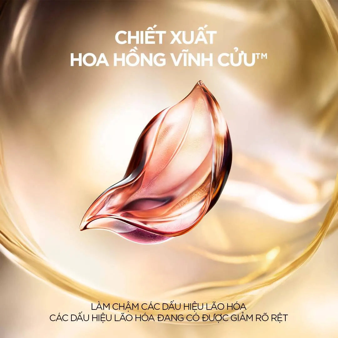 Kem Dưỡng Hỗ Trợ Tái Tạo & Trẻ Hóa Da Cao Cấp Lancôme Absolue Longevity The Soft Cream 60ml (Pháp)