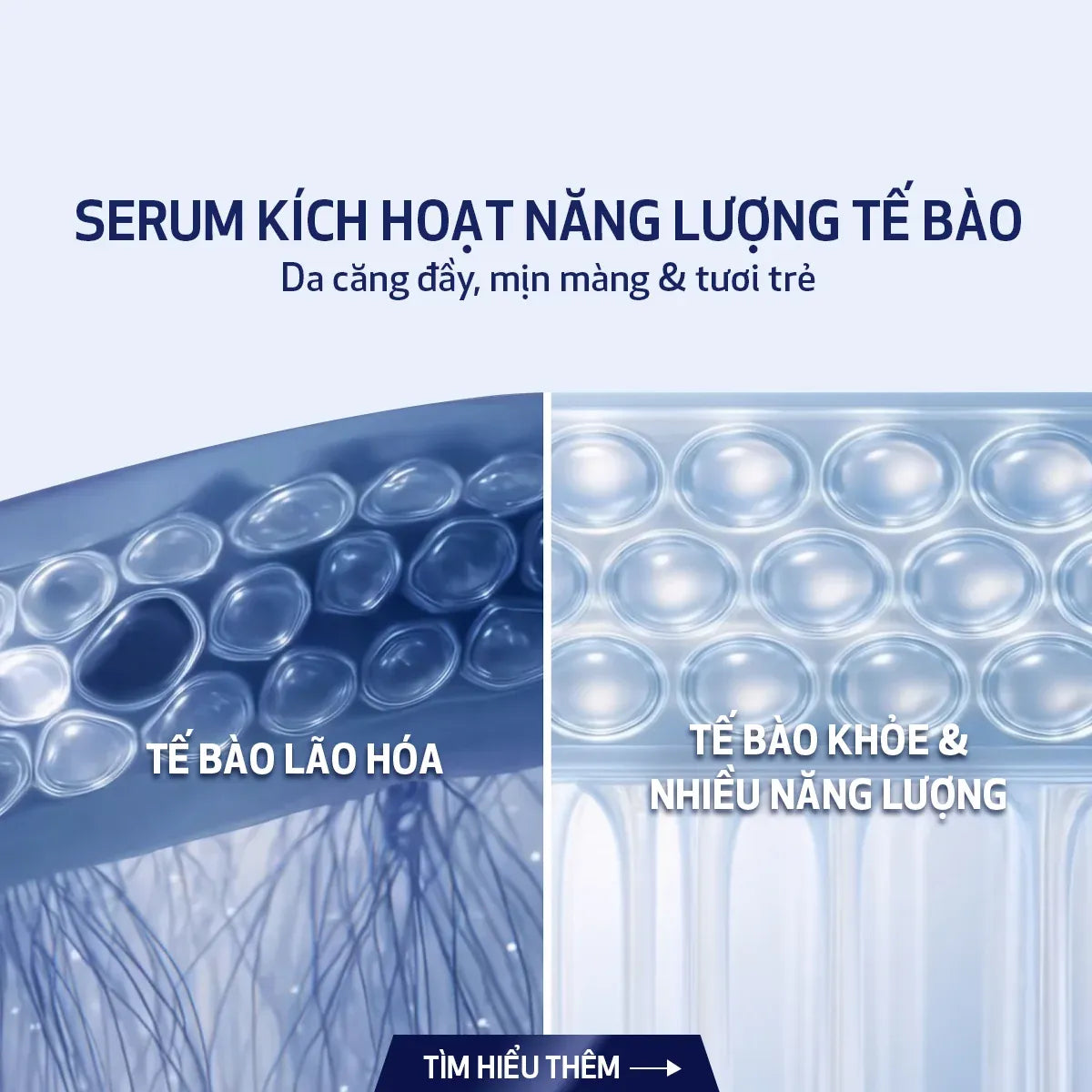 Serum Kích Hoạt Năng Lượng Tế Bào Obagi NU-GEN™ (30ml)