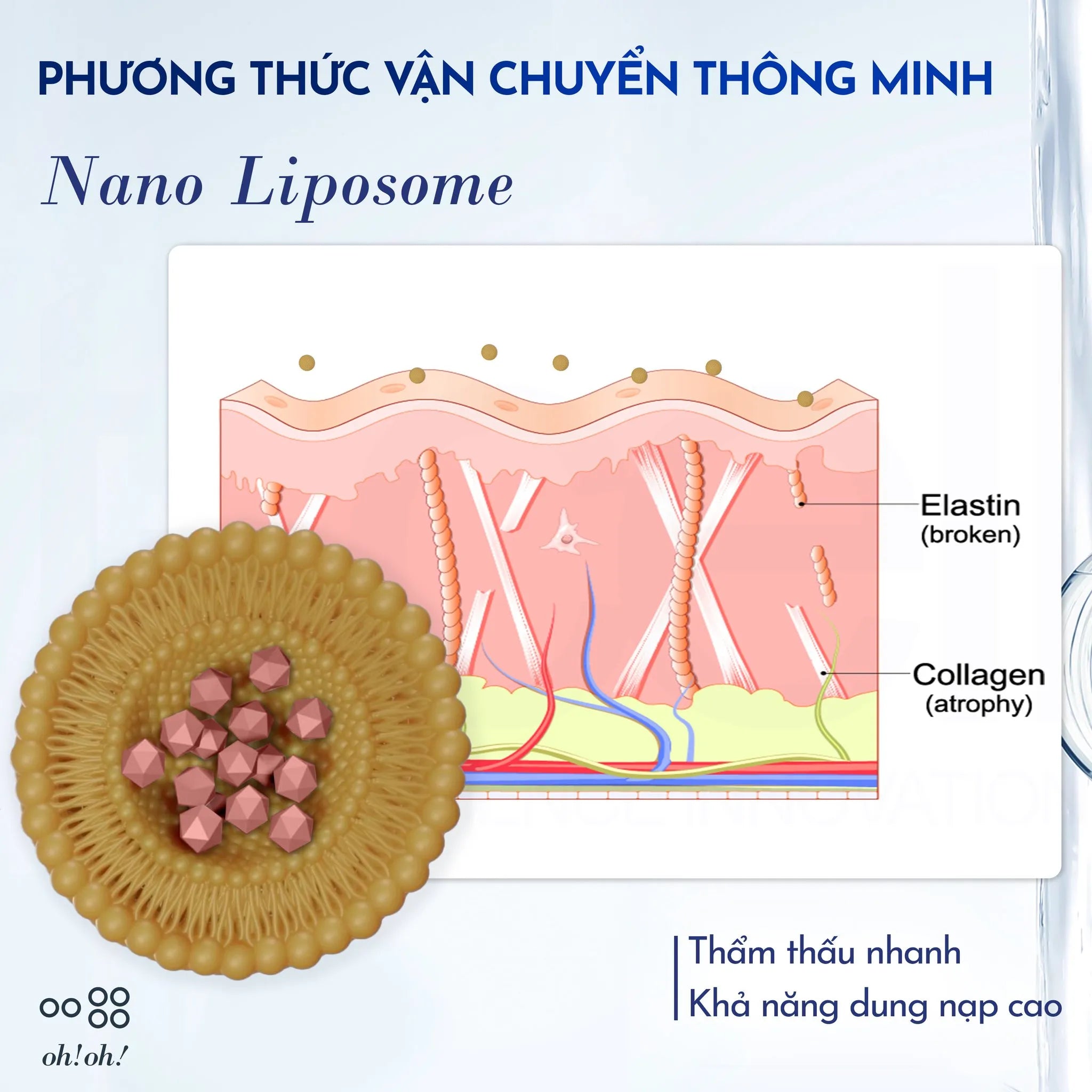 Tinh Chất Phục Hồi, Tái Tạo & Làm Dịu Da Chuyên Sâu oh!oh! Oatmere Serum (25ml)