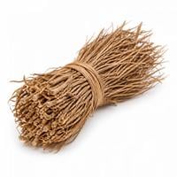 Cỏ Vetiver