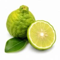 Cam Bergamot