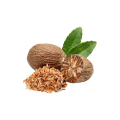 Mùi nhục đậu khấu Mùi nhục đậu khấu