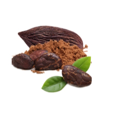 Mùi cacao Mùi cacao