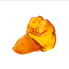 Hổ phách Hổ phách