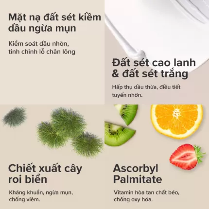 Mặt Nạ Hỗ Trợ Giảm Dầu Paula's Choice Skin Balancing Oil Absorbing Mask