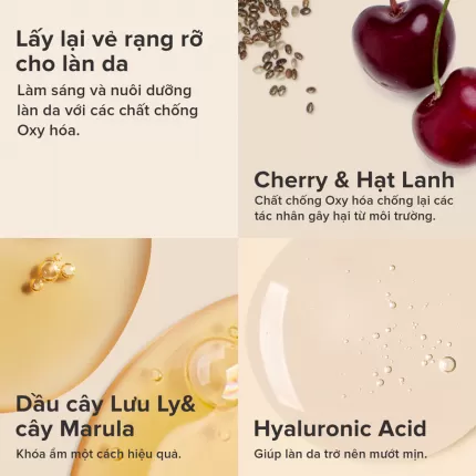 Kem Dưỡng Ẩm Ban Đêm Paula’s Choice Defense Nightly Reconditioning Moisturizer