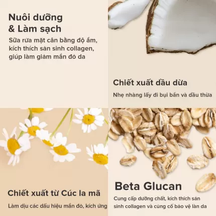 Sữa Rửa Mặt Phục Hồi Da Paula’s Choice Skin Recovery Softening Cream Cleanser