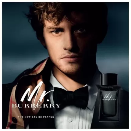 Nước Hoa Nam Burberry Mr. Burberry Eau de Parfum