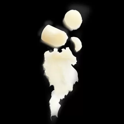 Dưỡng môi Shea Butter Ultra Rich