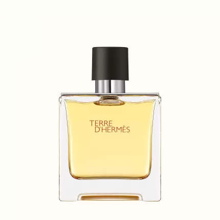 Nước Hoa Nam Hermès Terre d'Hermes Pure Parfum