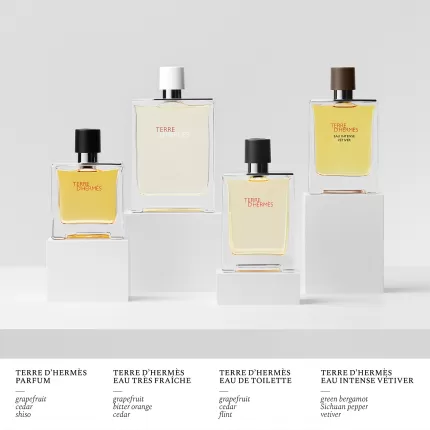 Nước Hoa Nam Hermès Terre d'Hermes Pure Parfum