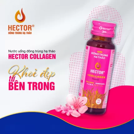 Nước Uống Đông Trùng Hạ Thảo Hector Collagen