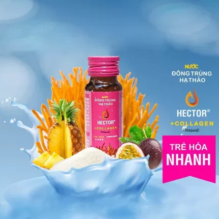Nước Uống Đông Trùng Hạ Thảo Hector Collagen