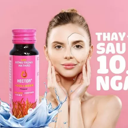 Nước Uống Đông Trùng Hạ Thảo Hector Collagen