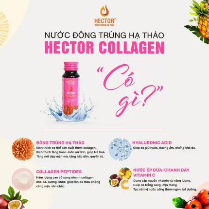 Nước Uống Đông Trùng Hạ Thảo Hector Collagen