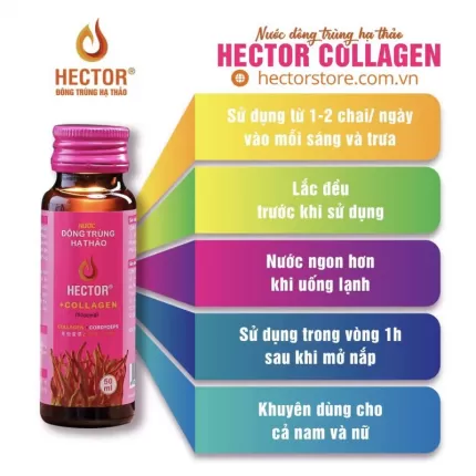 Nước Uống Đông Trùng Hạ Thảo Hector Collagen