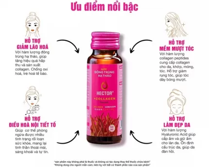 Nước Uống Đông Trùng Hạ Thảo Hector Collagen