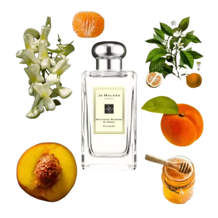 Nước hoa nữ Jo Malone London Nectarine Blossom & Honey Cologne