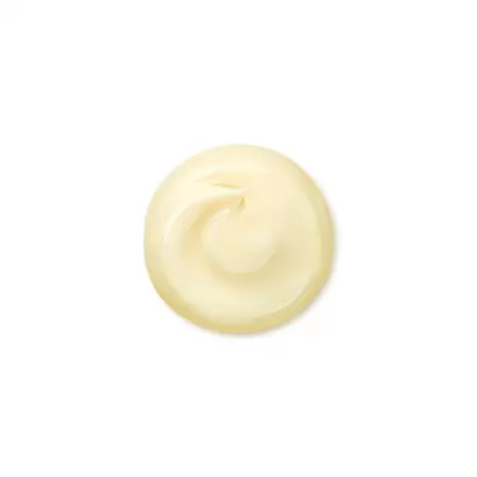 Kem Dưỡng Da Shiseido Benefiance Wrinkle Smoothing Cream Enriched